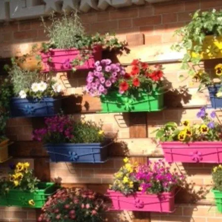 Salera מלון אסטי